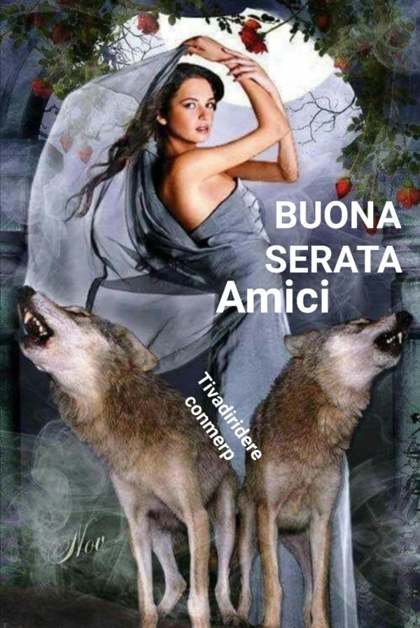 Волк и девушка