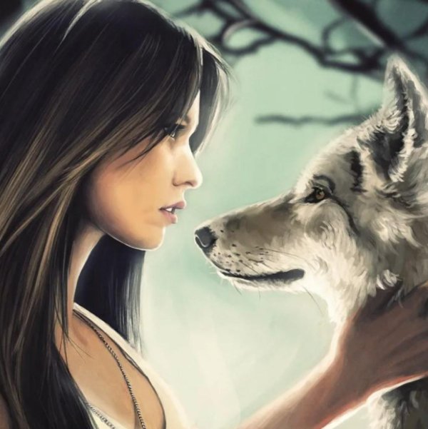 Волк и девушка