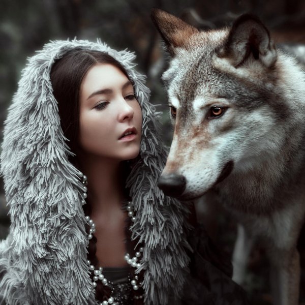 Волк и девушка