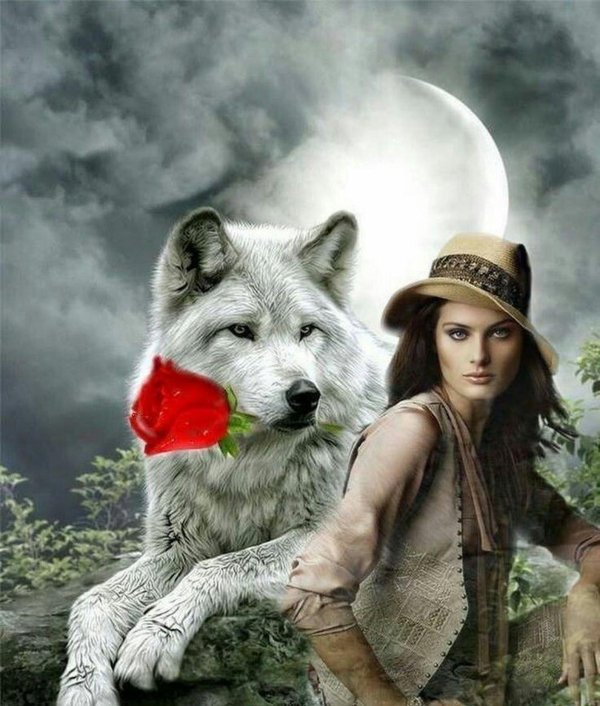 Волк и девушка
