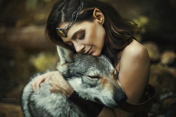 Волк и девушка