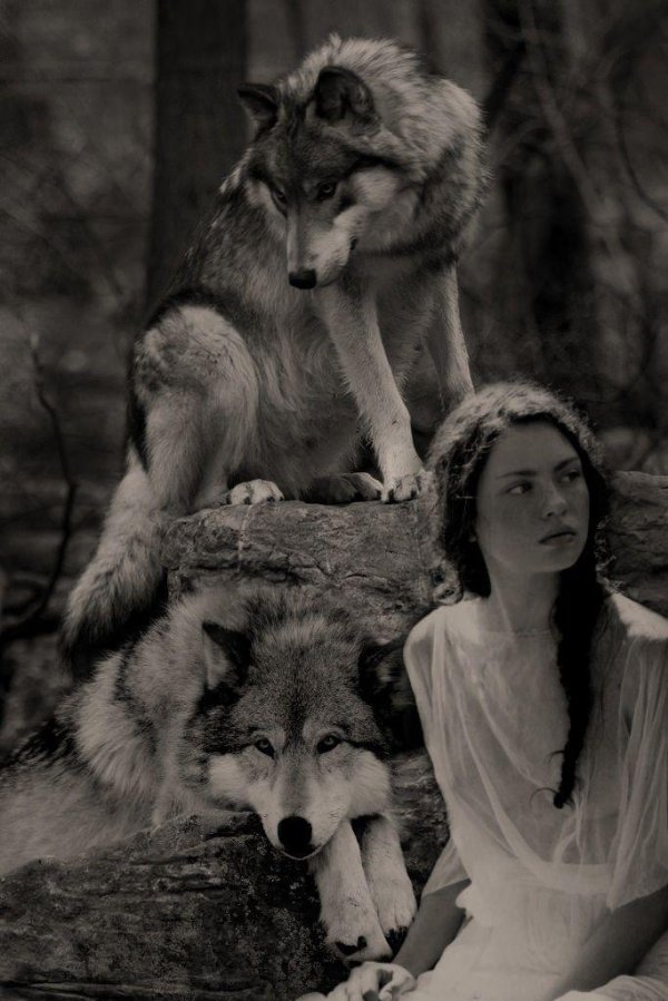 Волк и девушка
