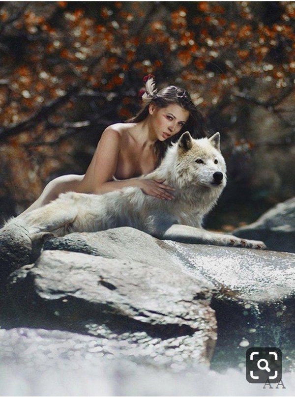 Волк и девушка