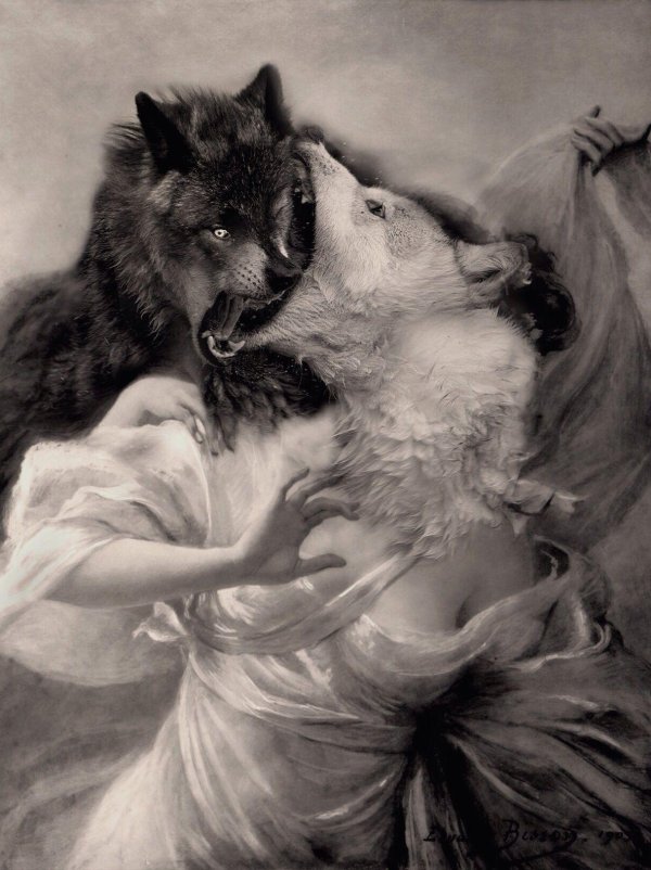 Волк и девушка