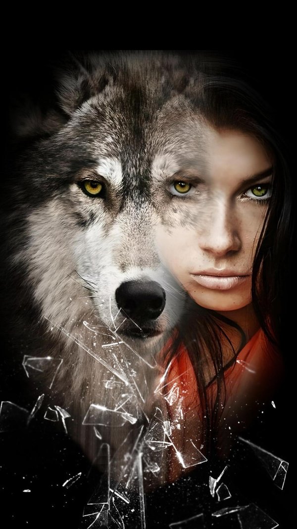 Волк и девушка