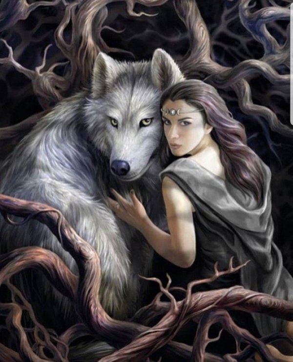 Волк и девушка