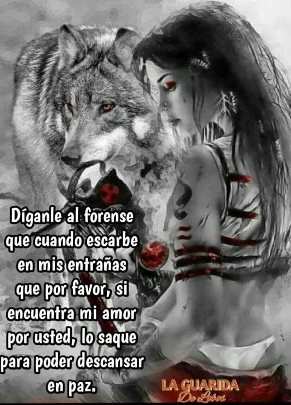 Волк и девушка