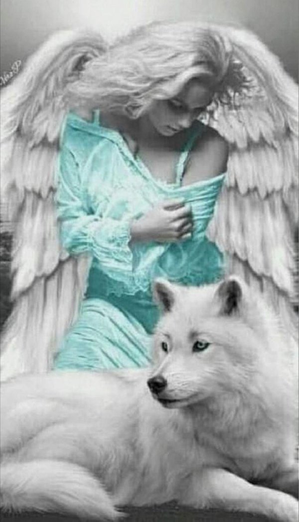 Волк и девушка
