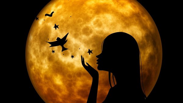 Луна и девушка