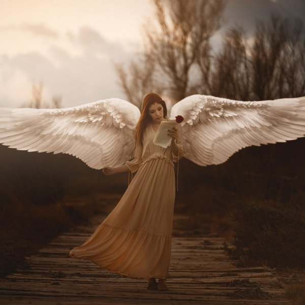 Ангел девушка