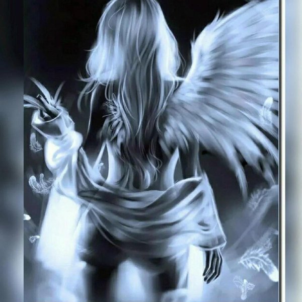 Ангел девушка