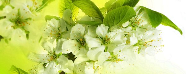 фон весенний