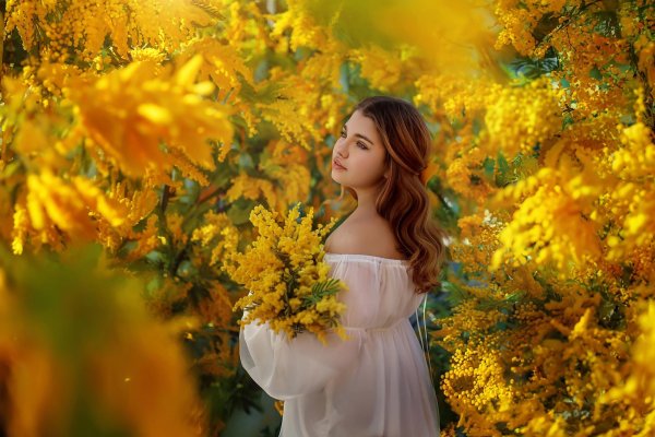 Девушка с мимозой