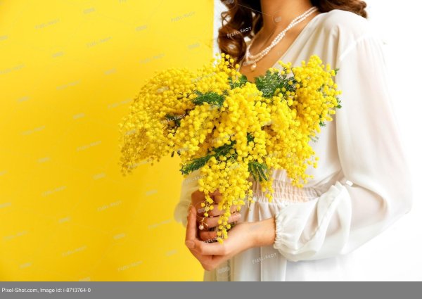 Девушка с мимозой