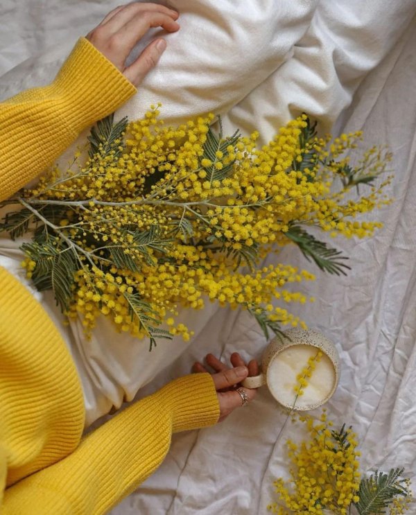 Девушка с мимозой