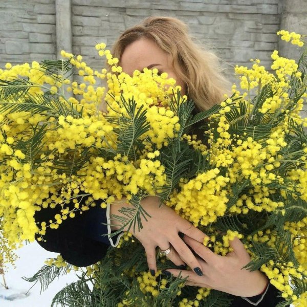 Девушка с мимозой