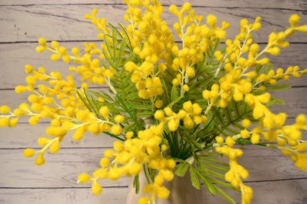 Девушка с мимозой