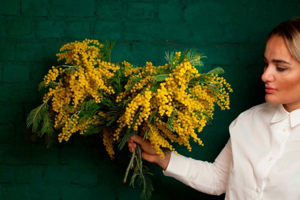 Девушка с мимозой