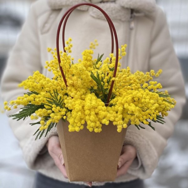 Девушка с мимозой