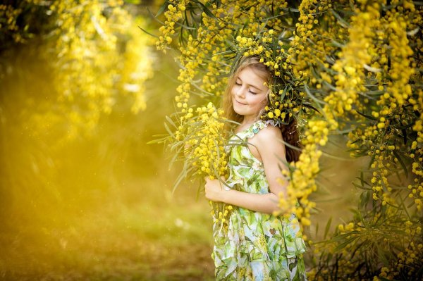 Девушка с мимозой