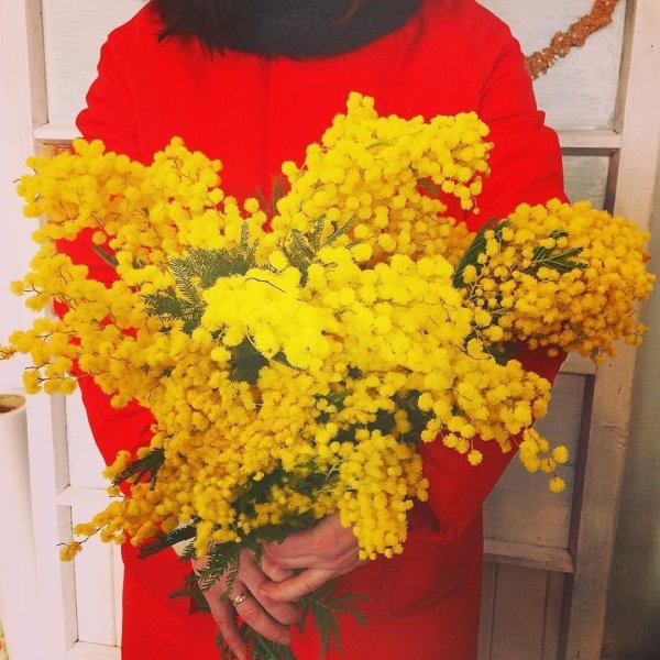 Девушка с мимозой