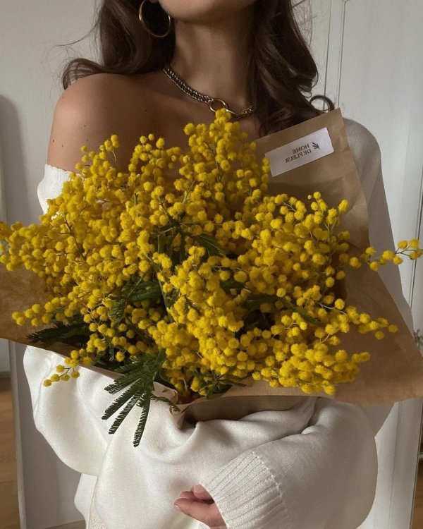 Девушка с мимозой