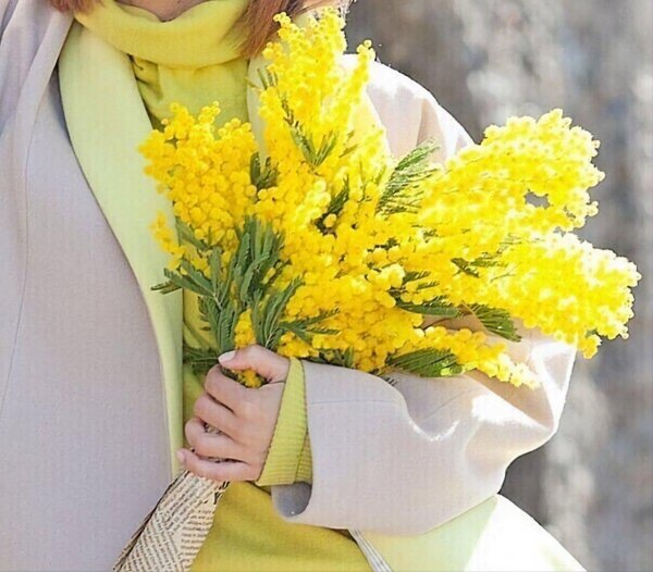 Девушка с мимозой