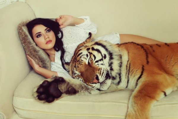 Девушка с тигром