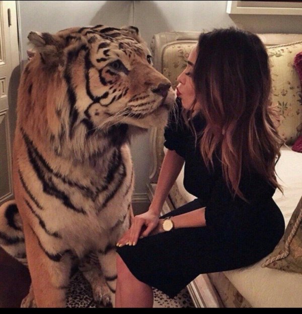 Девушка с тигром