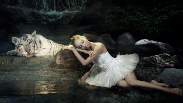 Девушка с тигром