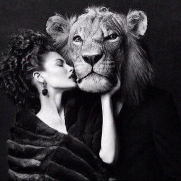 Девушка и лев