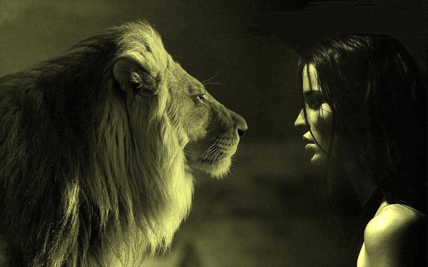 Девушка и лев