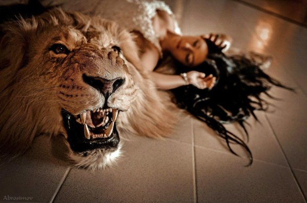 Девушка и лев