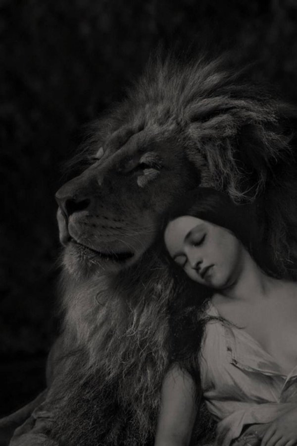 Девушка и лев