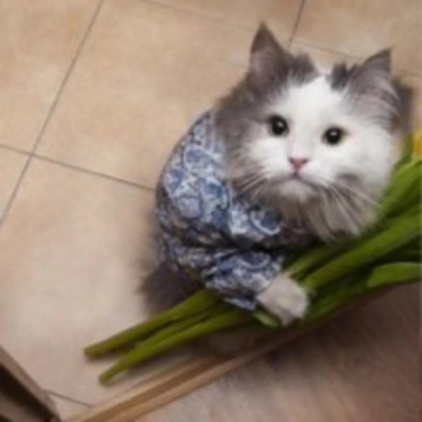 Веселые с цветами