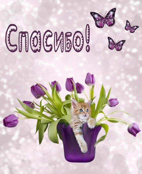 Веселые с цветами