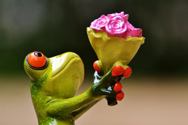 Веселые с цветами