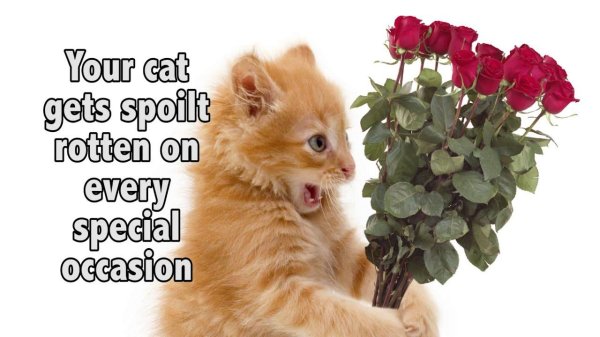 Веселые с цветами