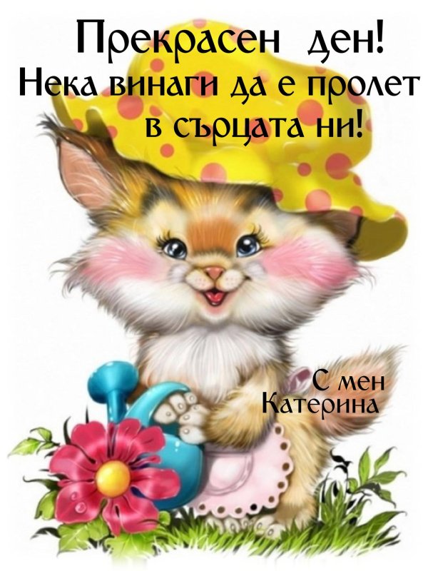 Веселые с цветами