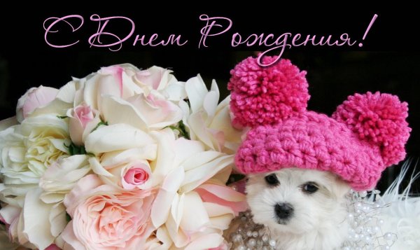 Веселые с цветами