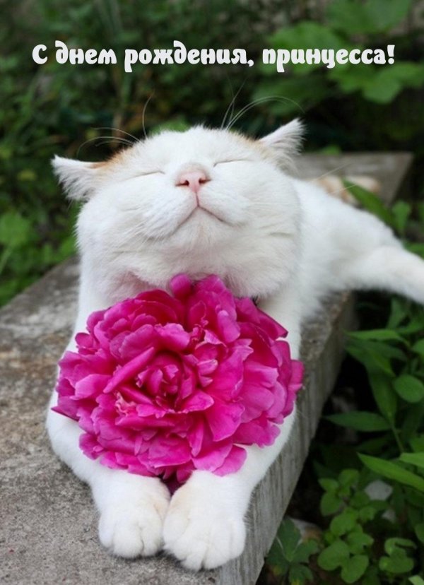 Веселые с цветами