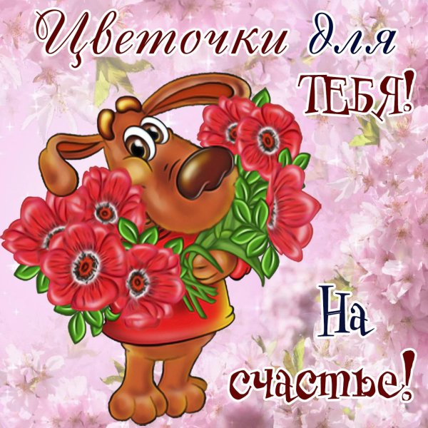 Веселые с цветами