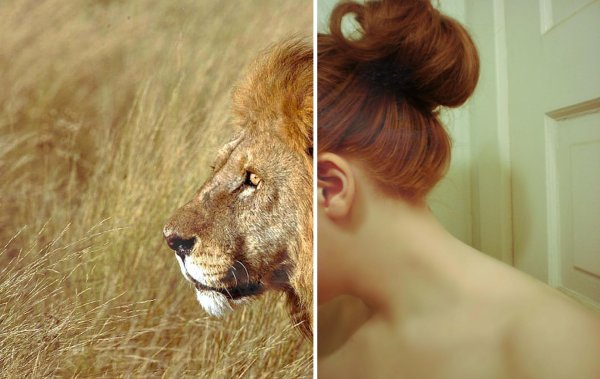 Девушка со львом