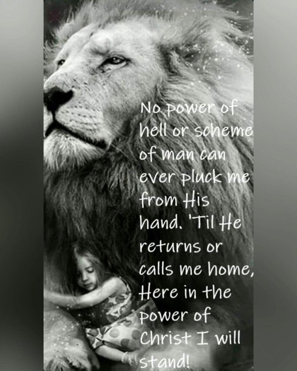 Девушка со львом