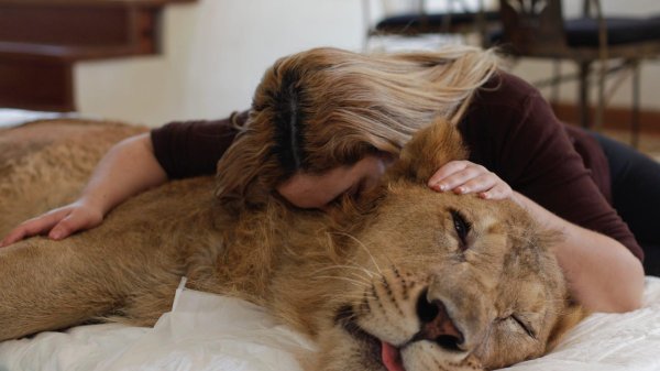 Девушка со львом