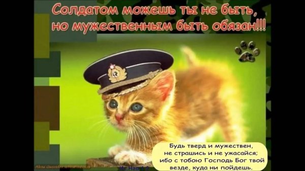 С днем защитника отечества с девушками