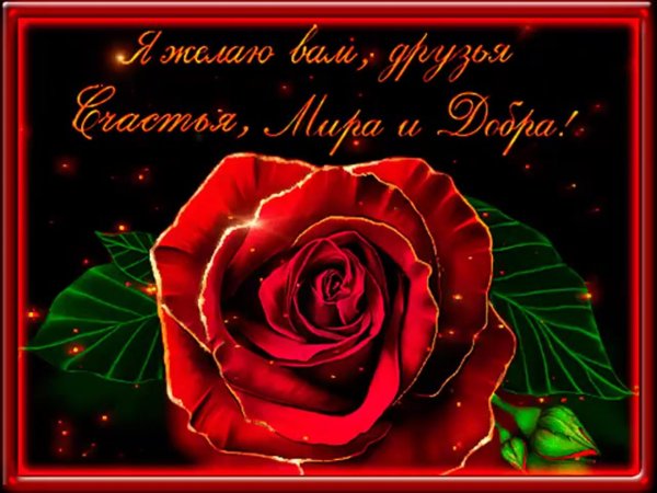 пожелание другу