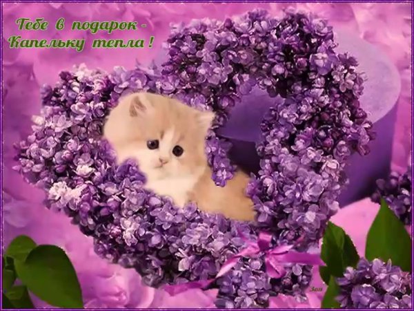 С цветами друзьям