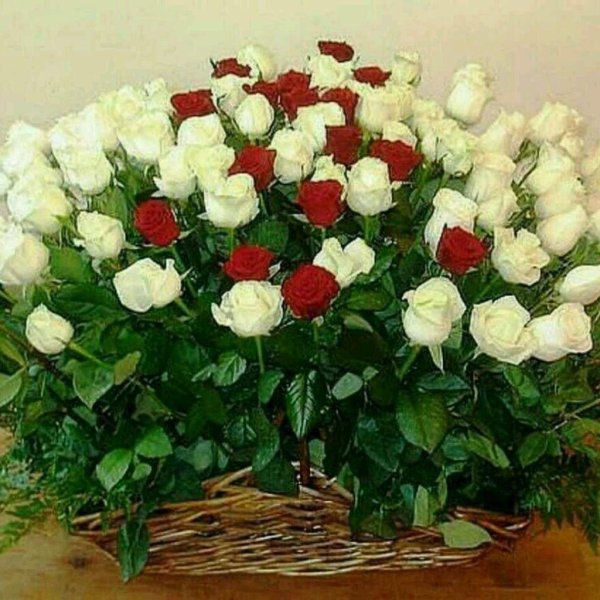 букет шикарный