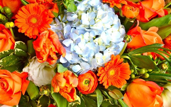 оранжевые букеты